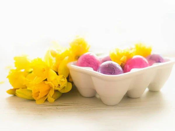 Uova Pasqua Supporto Con Narcisi Gialli Sfondo Bianco — Foto Stock