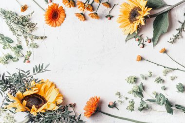 Beyaz arka planda güzel ayçiçekleri olan yaz bahçesi çiçekleri çerçevesi.