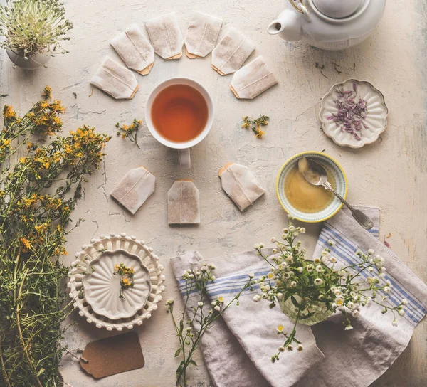 Herbata Ziołowa Zdrowy Napój Różne Świeże Zioła Medyczne Filiżanką Herbaty — Zdjęcie stockowe
