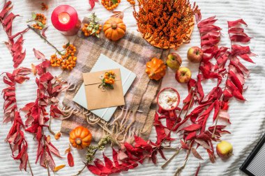 Balkabaklı rahat sonbahar yaşam tarzı, kırmızı sonbahar yaprakları, kapuçino, defterli mumlar ve beyaz battaniyeli zarf. Üst Manzara. Düz yatıyordu