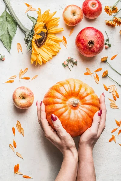 Female hands holding pumpkin on white table background with apples, pomegranate and sunflowers  Top view. Flat lay