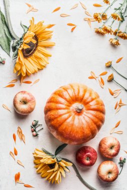 Beyaz masa arkasında balkabağı, elma ve ayçiçekleri olan yaz sonu ya da sonbahar arkaplanı. Üst Manzara. Düz yatıyordu. Çerçeve