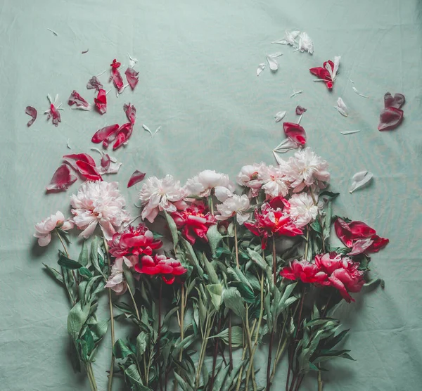 Belo Ramo Flores Peônias Vermelho Branco Com Pétalas Espalhadas Tecido — Fotografia de Stock