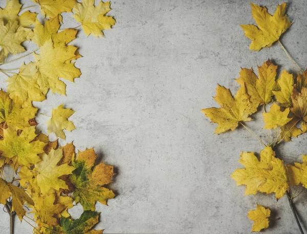 Gele Herfstbladeren Lichtgrijze Betonnen Tafel Seizoensgebonden Val Achtergrond Grens Met — Stockfoto