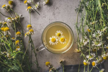 Kapat, fincan, bitkisel, çay, demet, taze, şifalı bitkiler, sonbahar, tema, koyu, beton, arka plan, üst manzara, ısınma, mevsimlik, sonbahar sahnesi, sonbahar çayı, ev yapımı, düşme, kopyalama alanı, doğa, tıbbi, organik, tazelik, çay fincanı, rahatlama, içki, çiçek,, 