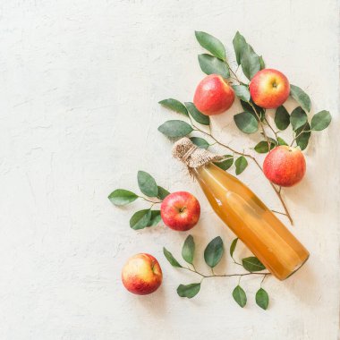 Ev yapımı elma sirkesi ya da içinde malzemeler olan cam şişedeki meyve suyu: beyaz masa arkaplanındaki taze organik bahçe elmaları ve yapraklar. Üst Manzara. Düz yatıyordu. Sınır. Çerçeve. Boşluğu kopyala
