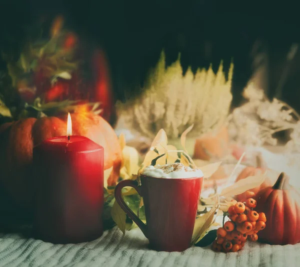 stock image Closeup of hot chocolate with cream in mug and burning candle on white rug. Autumn concept with pumpkin and wild berries. Cozy mood background. Front view. Still life