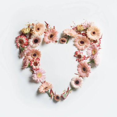 Beyaz arka planda çeşitli bahçe çiçekleriyle yapılmış bir kalp çerçevesi. Sevgililer Günü veya Anneler Günü için bahar ve yaz taçyapraklarıyla romantik bir konsept. Üst görünüm.