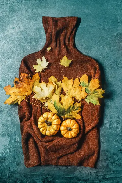 棕色高领毛衣 各种南瓜和黄色落叶 蓝色混凝土背景 秋天的概念 免版税图库照片
