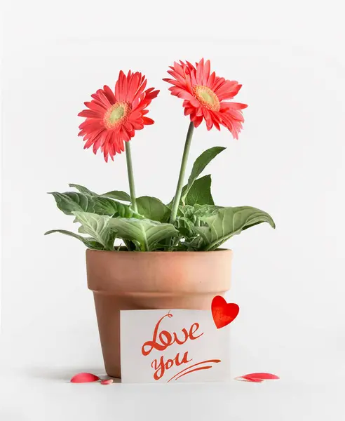 Carte Vœux Avec Love You Message Texte Coeur Sur Des Photos De Stock Libres De Droits