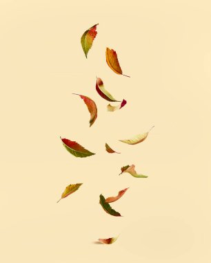 Sarı arkaplanda düşen sonbahar yaprakları.