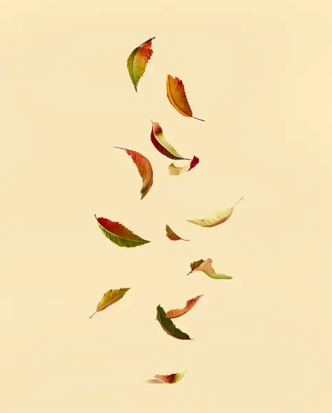 Падающие Осенние Листья Желтом Фоне Стоковое Фото