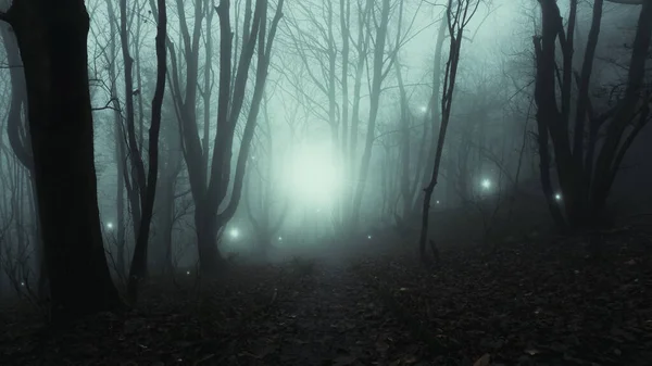 Sihirli Gizemli Parlayan Işık Küreleri Gizemli Ürkütücü Bir Ormanda Yüzüyorlar — Stok fotoğraf