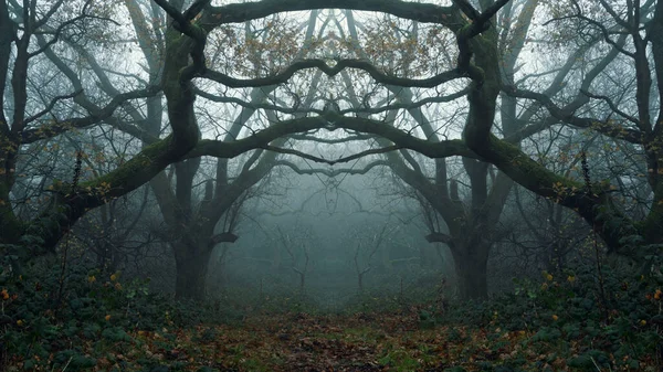 Spiegelbild Eines Gespenstischen Waldes Eingerahmt Von Eichen Und Verdrehten Ästen Stockfoto