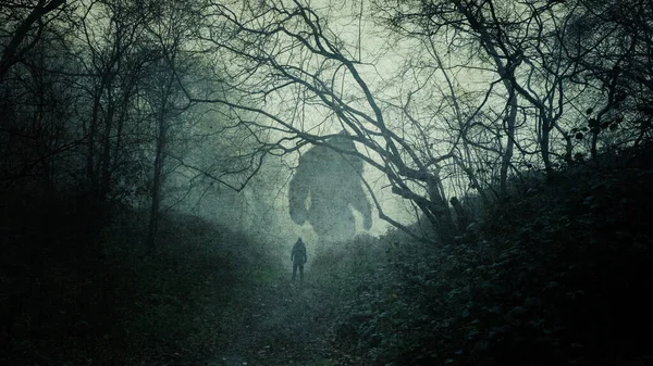 一个巨大的大脚怪的黑暗的大气的概念 在森林里的轮廓 一个人看着他们 在一个毛茸茸的冬日里 免版税图库照片