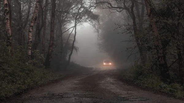 Mysterious Car Its Headlights Distance Spooky Forest Track Dark Foggy — Stock Photo, Image