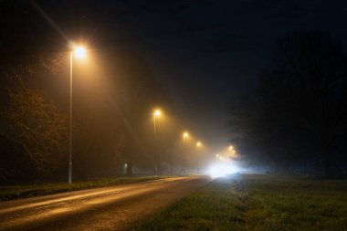 Sokak ışıklarıyla dolu uzun düz bir yol, sisli bir kış gecesinde kırsal alanda parlayan, ışığa karşı gölgeli bir kadın bulvarı