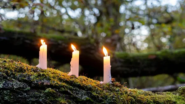 Three candles on a moss covered tree trunk in a forest in autumn.