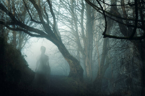 A ghost like woman, with a long dress, back to camera. On a path in a spooky forest. On a winters day. With a grunge, vintage edit.