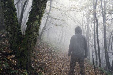 Saydam doğaüstü bir hayaletin korku konsepti. Ürkütücü sisli bir ormanda dikiliyorum.