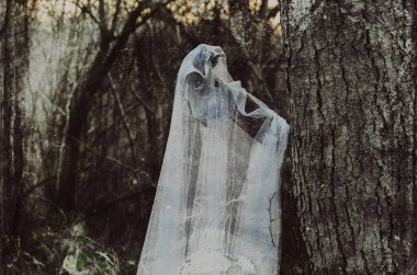 Beyaz bir çarşafla kaplanmış bir hayvan kafatası konsepti. Kışın ürkütücü bir ormanda. Koyu grunge vintage kurgusu ile.