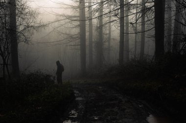 Ürkütücü bir orman. Sisli bir kış gününde ürpertici bir ormanda yürüyüş yapan biriyle.