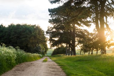 Bir yaz akşamında Cotswold kırsalında kırsal bir pist. Bredon Hill, İngiltere