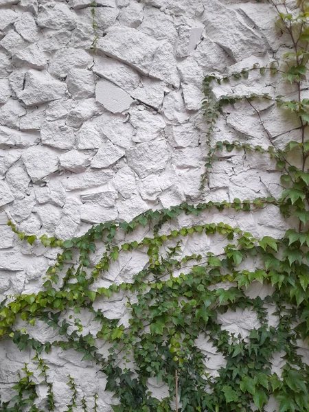 Tırmanma Tesisleri Olan Taş Duvar Eski Arkaplan — Stok fotoğraf