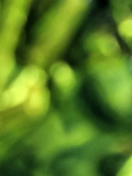 Θολή Πράσινο Φόντο Πράσινο Spotted Φόντο Για Επαγγελματικές Κάρτες Και — Φωτογραφία Αρχείου