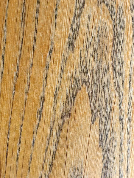 Texture of oak. Oak texture under varnish. Vintage background for advertising