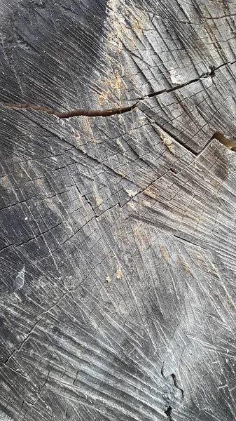 Struktura Drewna Koniec Ścięcia Drzewa Vintage Tle Drewna — Zdjęcie stockowe