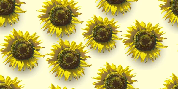 Квіти Соняшнику Безшовний Фон Квітів Соняшнику Векторні Ілюстрації — стоковий вектор