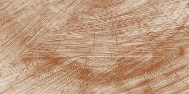 Ağacın ucu. Tahıl ahşap dokusunu bitir. Vektör illüstrasyonu