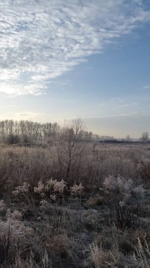 Soğuk sonbahar sabahı. Soğuk sonbahar sabahı. Sonbahar manzarasında buz