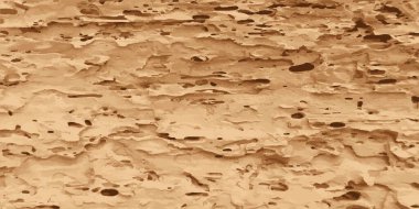 Böcekler tarafından yenen yuvarlak ahşap. Çürümüş ahşap dokusu. Vektör illüstrasyonu