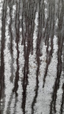 Betonda ıslak lekeler var. Islak beton yüzey