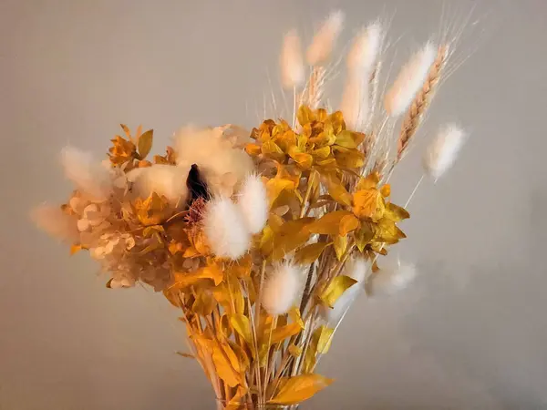 stock image Bouquet of dry grass. Decorative bouquet of dry stems