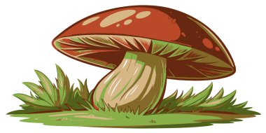 Yenilebilir mantar. Beyaz arka planda yenilebilir mantar. Vektör illüstrasyonu