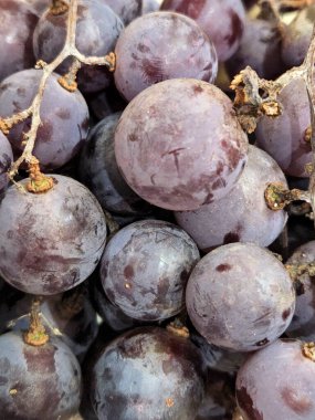 Mavi üzümler. Mavi üzüm kümeleri. Meyve arkaplanı