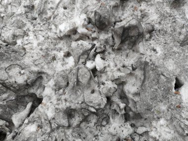 Kirli bahar karı. Kirli kar yüzeyi. Kar arkaplanı