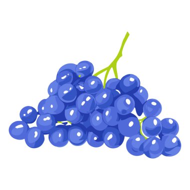 Beyaz arka planda bir demet mavi üzüm. Vektör illüstrasyonu