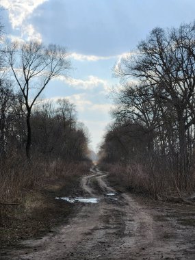 Bahar manzarası. Sonbahar yağmurdan sonra yol. Yoldaki su birikintileri