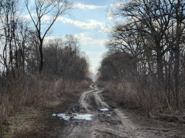 Bahar manzarası. Sonbahar yağmurdan sonra yol. Yoldaki su birikintileri