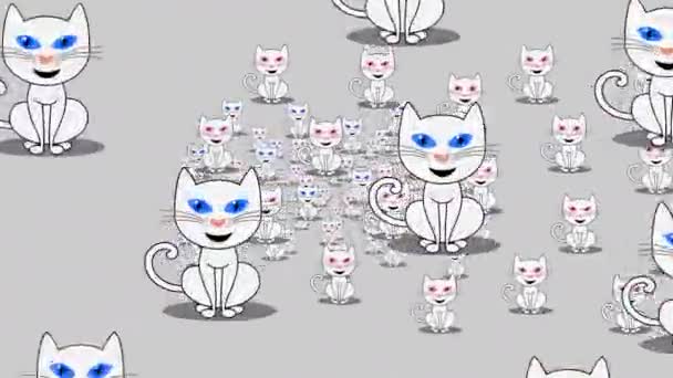 Bílá Kočka Modrýma Očima Bílá Kočka Růžovýma Očima Zeleném Pozadí — Stock video