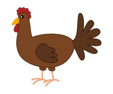 Beyaz arka planda izole edilmiş kahverengi bir tavuk.