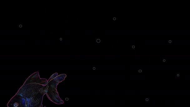 Aquário8 Com Peixes Nadando Água Com Bolhas Fundo Preto Animação — Vídeo de Stock