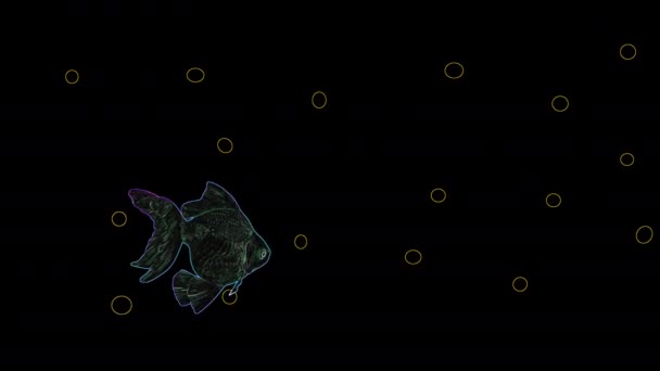 Akvárium6 Rybami Plavajícími Vodě Bublinkami Černém Pozadí Animace — Stock video