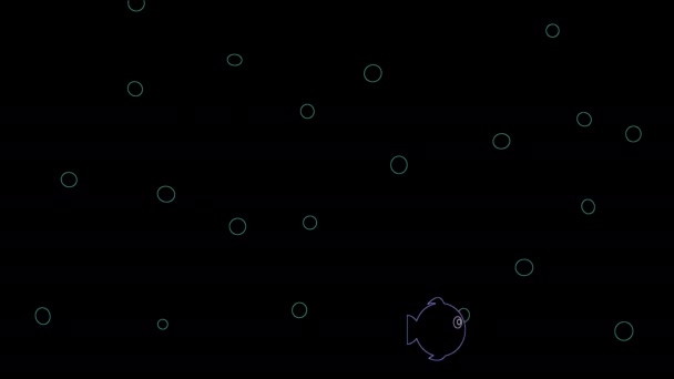 Akvárium7 Rybami Plavajícími Vodě Bublinkami Černém Pozadí Animace — Stock video