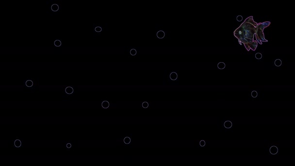 Akvárium2 Rybami Plovoucí Vodě Bublinkami Černém Pozadí Animace — Stock video
