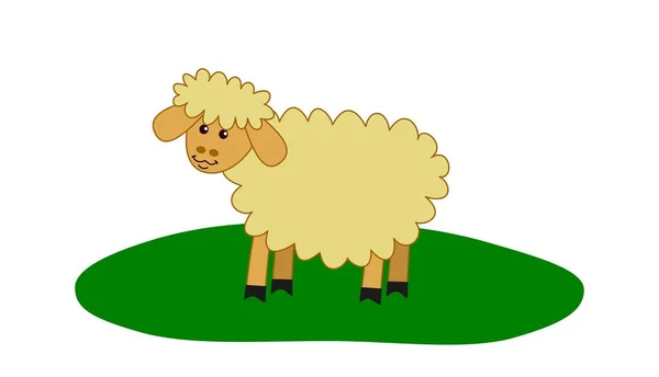 若く美しい羊でプロフィールで緑の牧草地と白の背景 — ストックベクタ